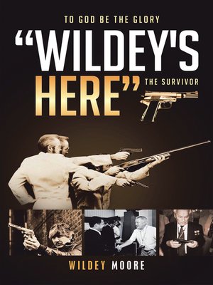 cover image of Wildey's Here